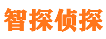 游仙市侦探公司